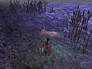 Dungeon Siege - screenshot #18