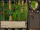 RuneScape - screenshot #19