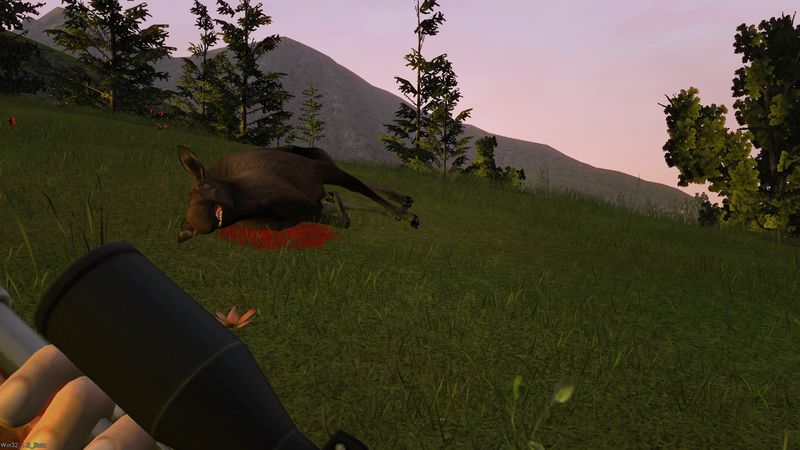 Deer Hunter Tournament - screenshot 17