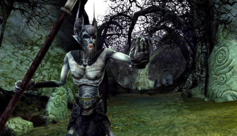 The Lord of the Rings Online: Siege of Mirkwood - screenshot 3