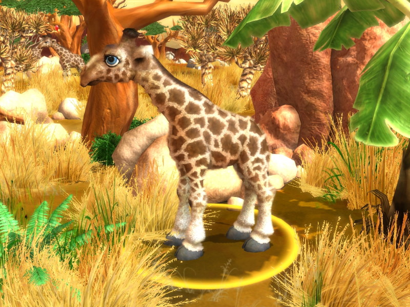 Wildlife Camp: In the Heart of Africa - screenshot 43