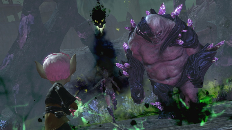 Guild Wars 2 - screenshot 6