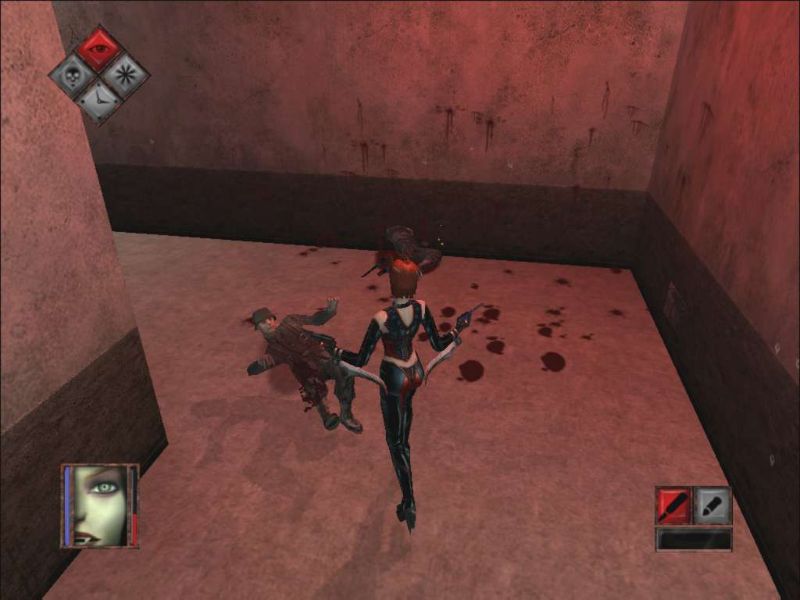 BloodRayne - screenshot 24