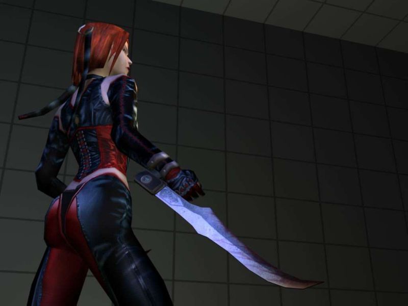 BloodRayne - screenshot 21