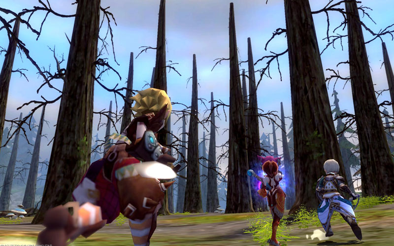 Dragon Nest - screenshot 12