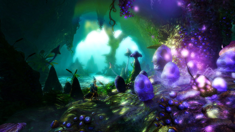 Trine 2 - screenshot 4