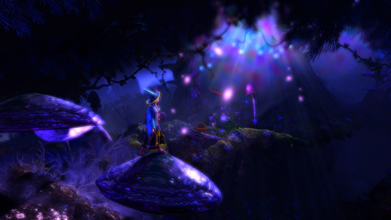 Trine 2 - screenshot 2