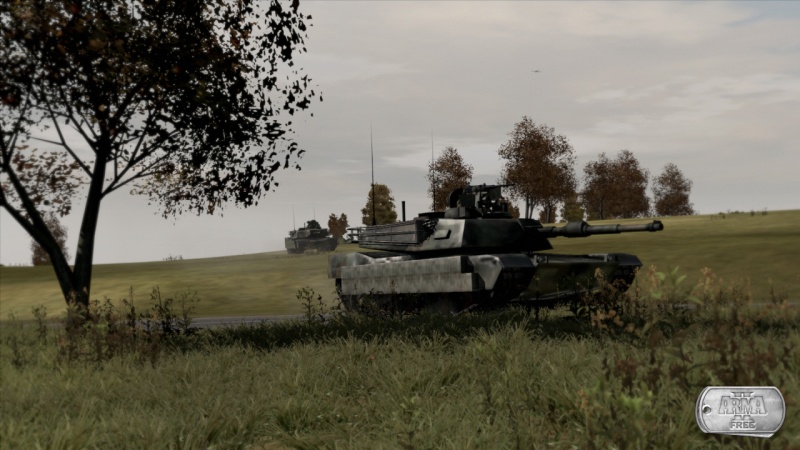 Arma 2: Free - screenshot 7