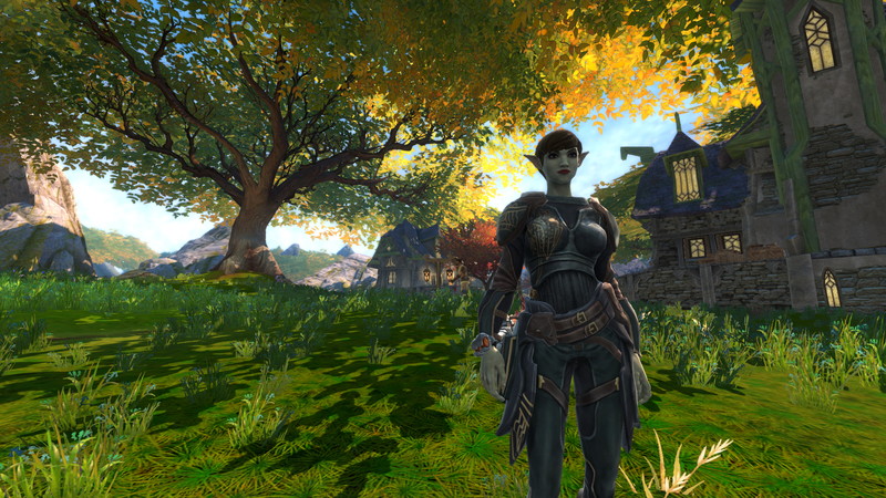 Kingdoms of Amalur: Reckoning - screenshot 14