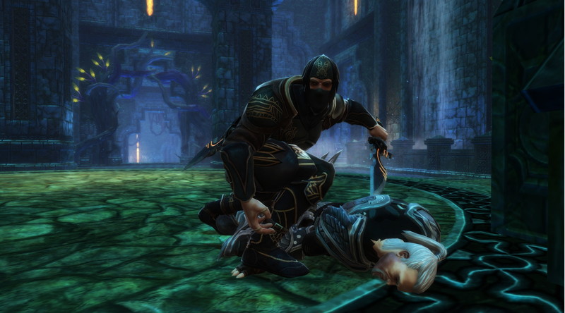 Kingdoms of Amalur: Reckoning - screenshot 8