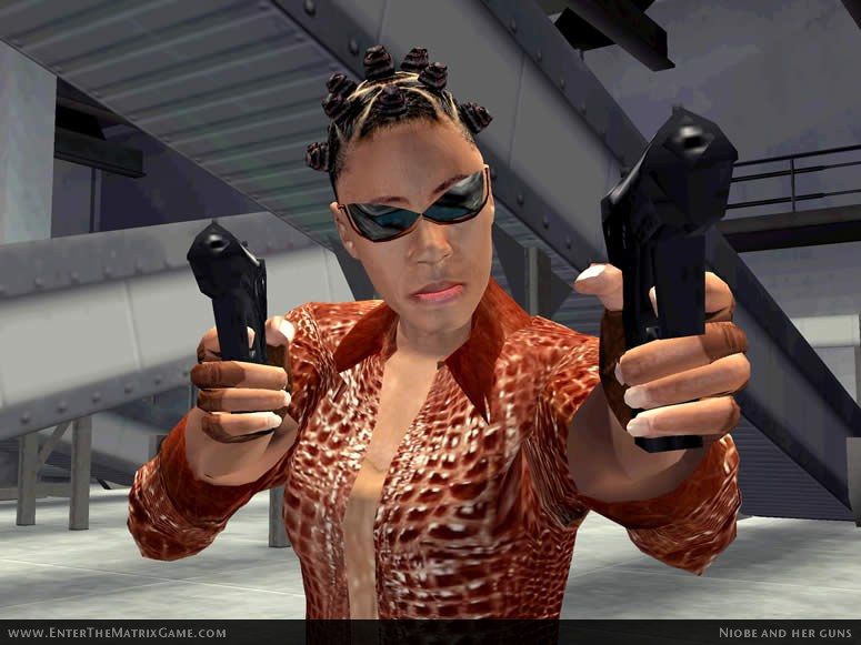 Enter The Matrix - screenshot 4