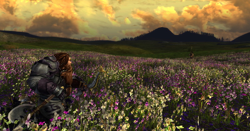 The Lord of the Rings Online: Riders of Rohan - screenshot 15