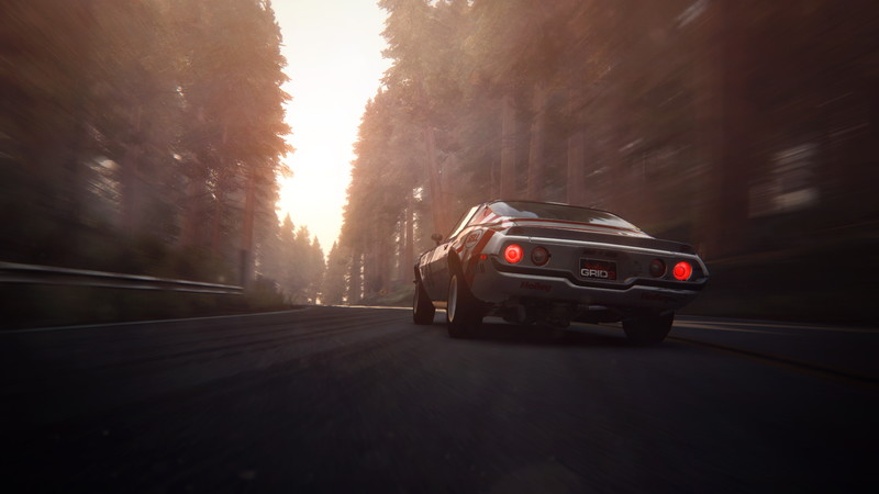 GRiD 2 - screenshot 13