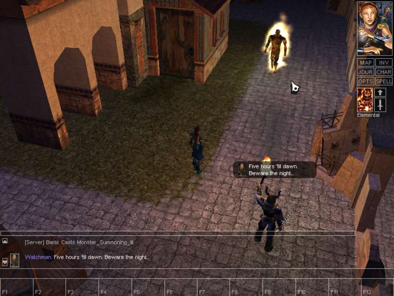 Neverwinter Nights - screenshot 41