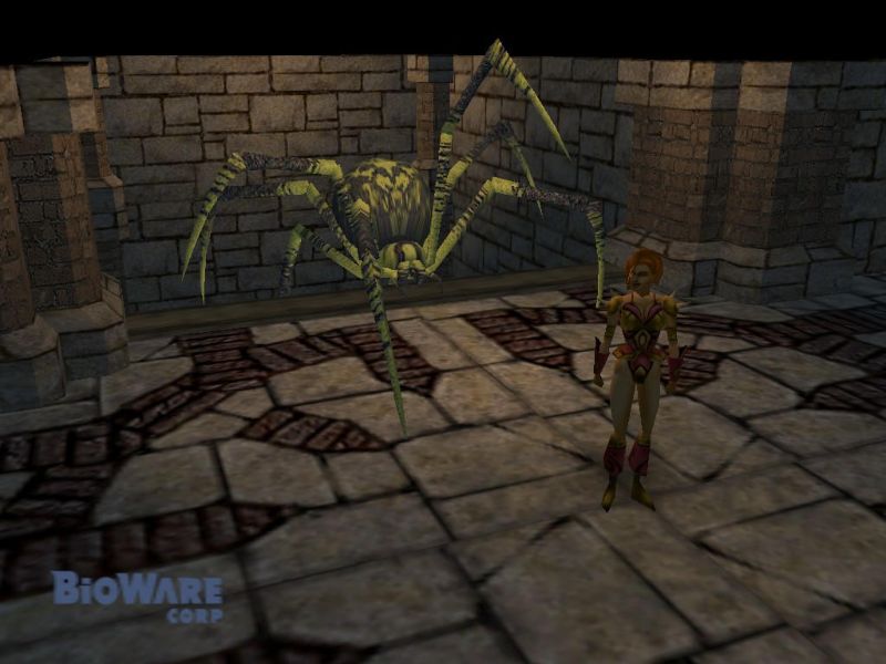 Neverwinter Nights - screenshot 11