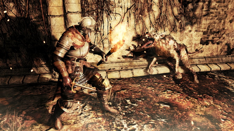 Dark Souls II - screenshot 25