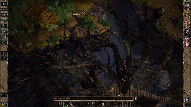 Baldur's Gate II: Enhanced Edition - screenshot 11