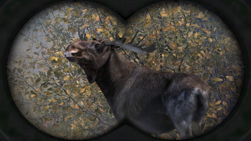 Cabela's Big Game Hunter: Pro Hunts - screenshot 19