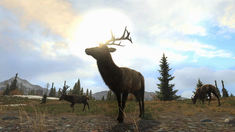 Cabela's Big Game Hunter: Pro Hunts - screenshot 18