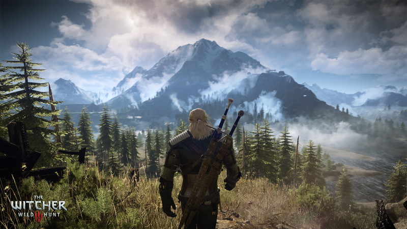 The Witcher 3: Wild Hunt - screenshot 9