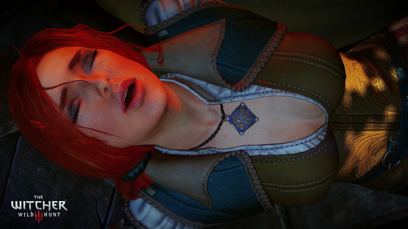 The Witcher 3: Wild Hunt - screenshot 8