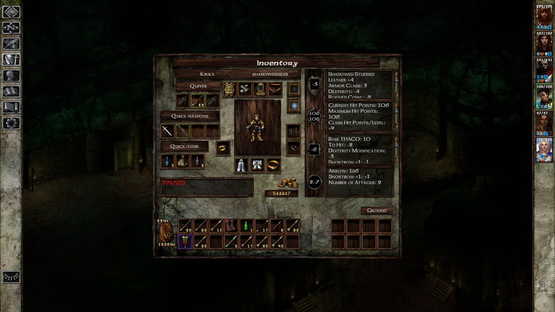 Icewind Dale: Enhanced Edition - screenshot 1