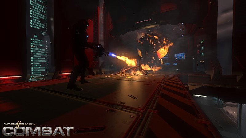 NS2: Combat - screenshot 20