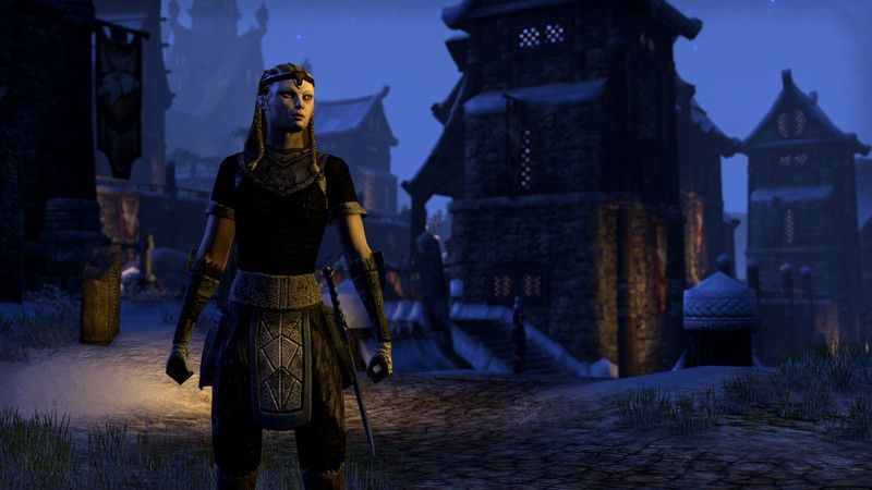 The Elder Scrolls Online: Tamriel Unlimited - screenshot 34