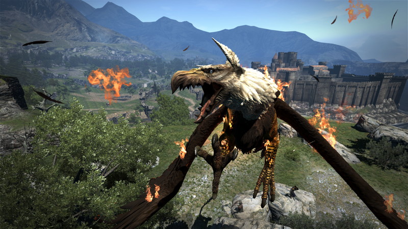 Dragon's Dogma: Dark Arisen - screenshot 5