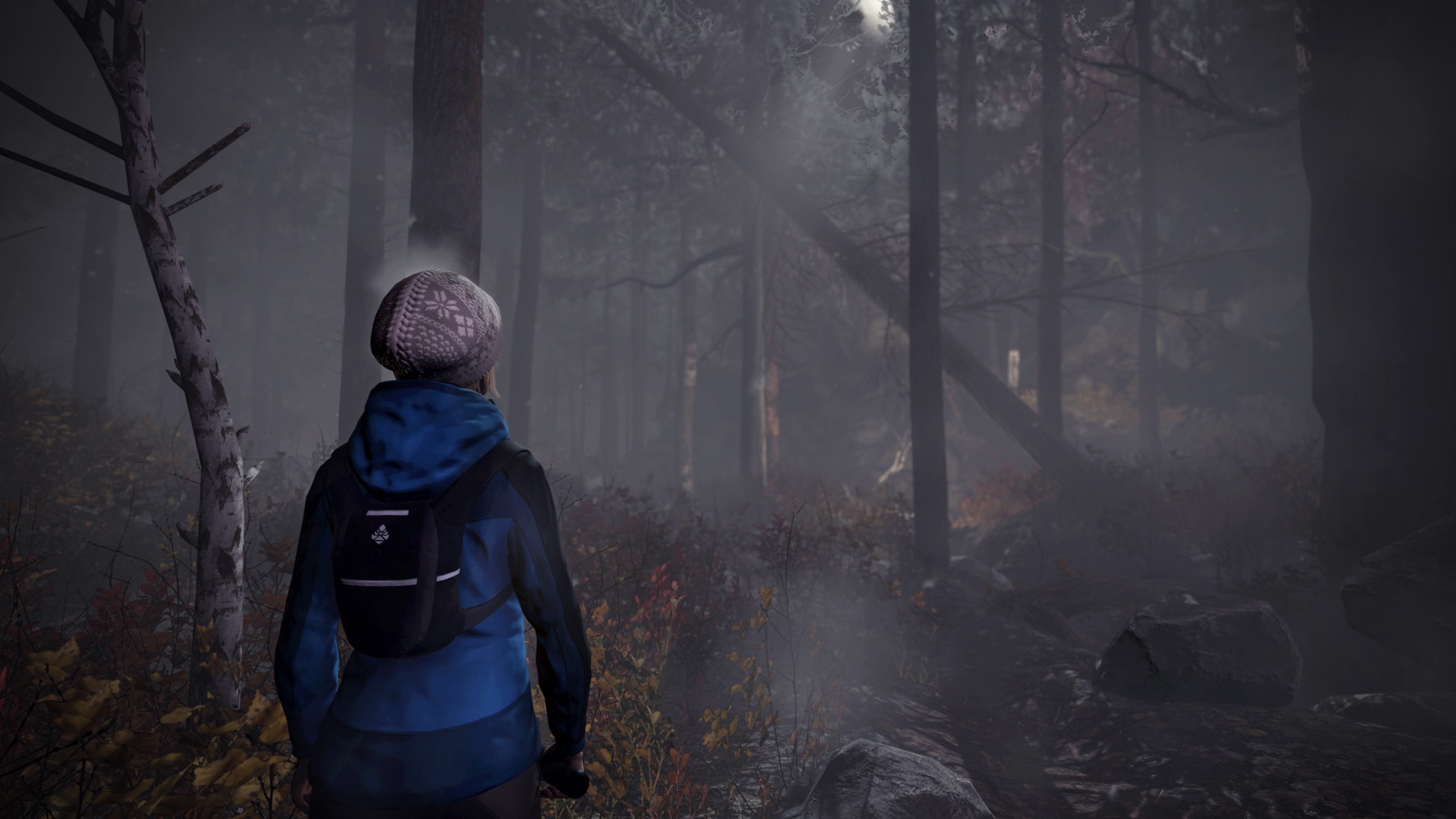 Through the Woods - screenshot 4