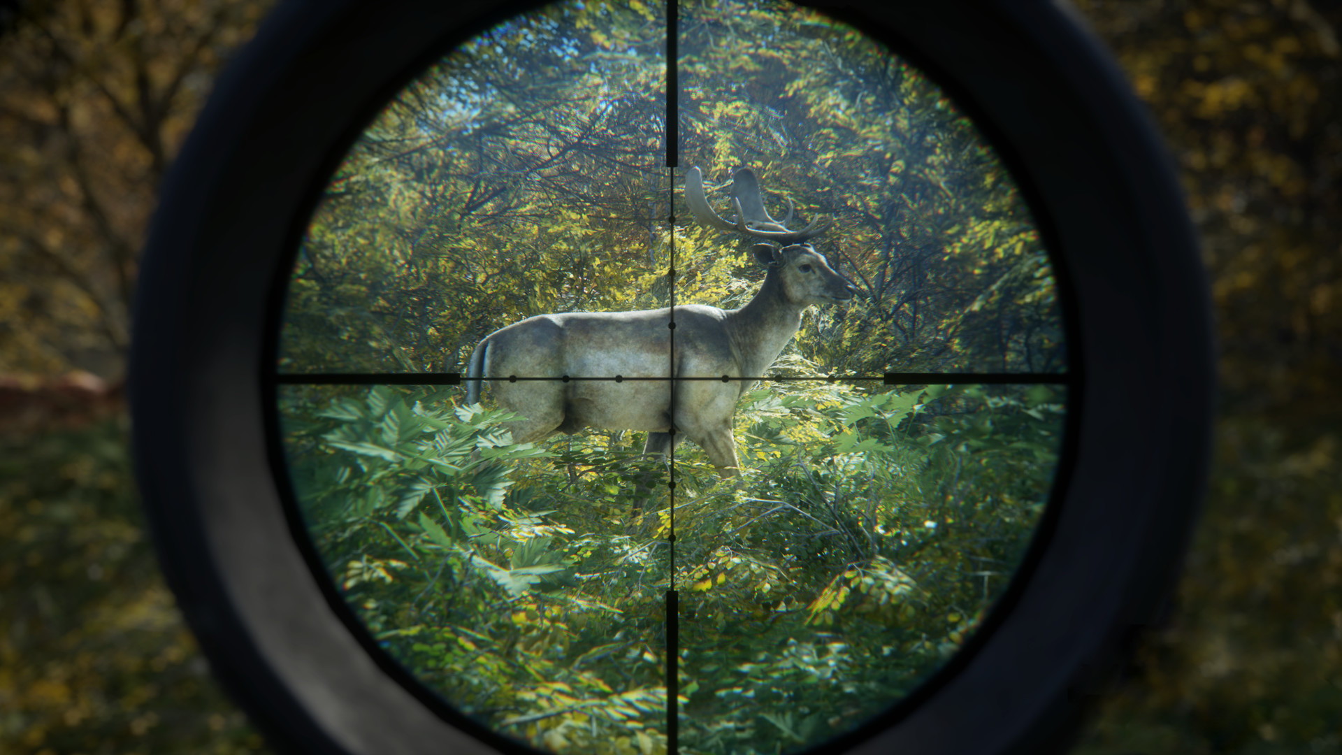 theHunter: Call of the Wild - screenshot 14