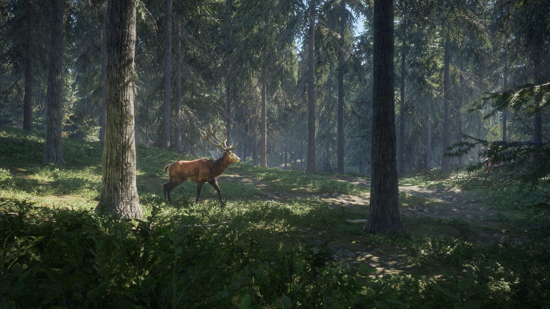 theHunter: Call of the Wild - screenshot 11