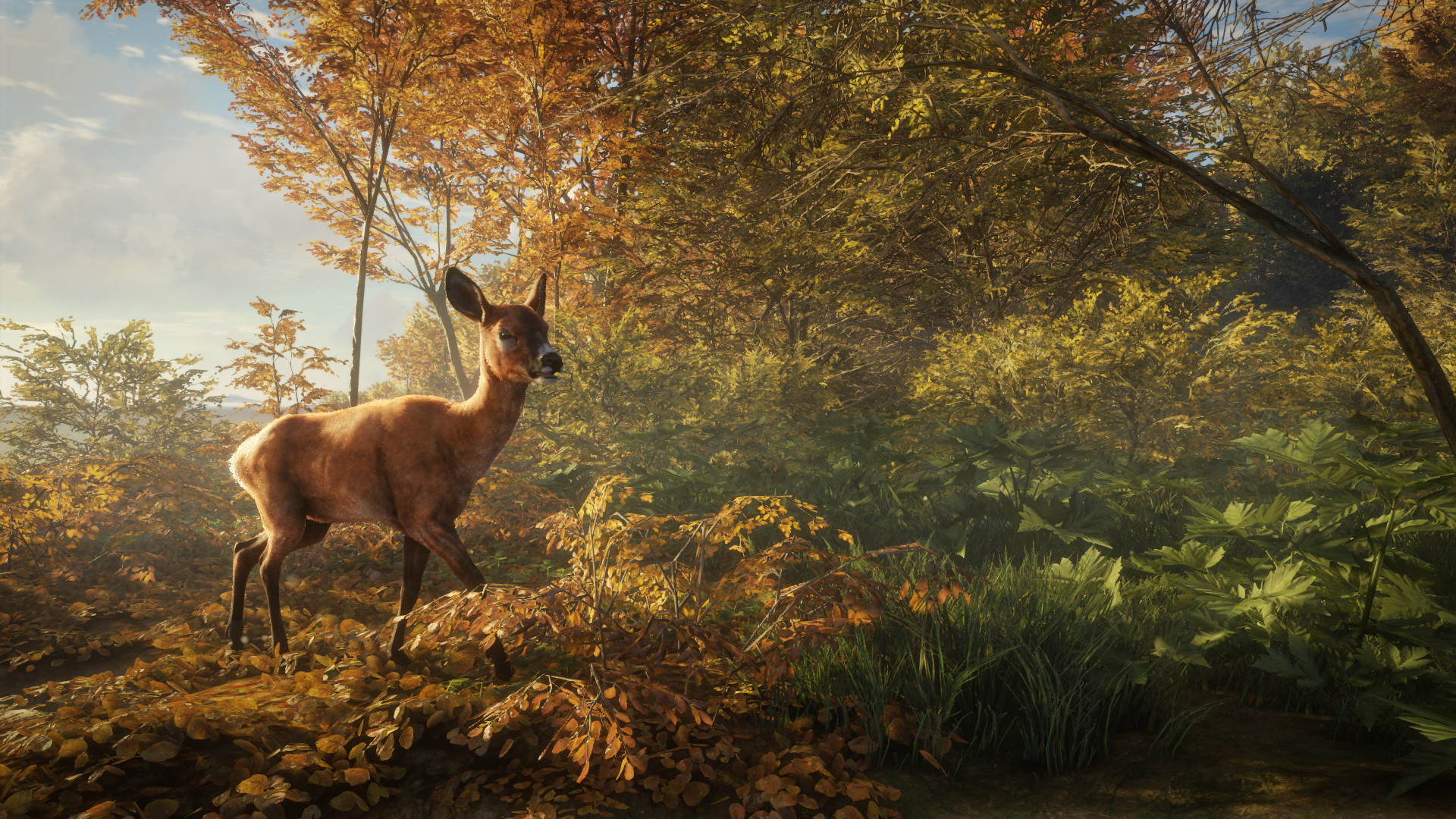 theHunter: Call of the Wild - screenshot 10