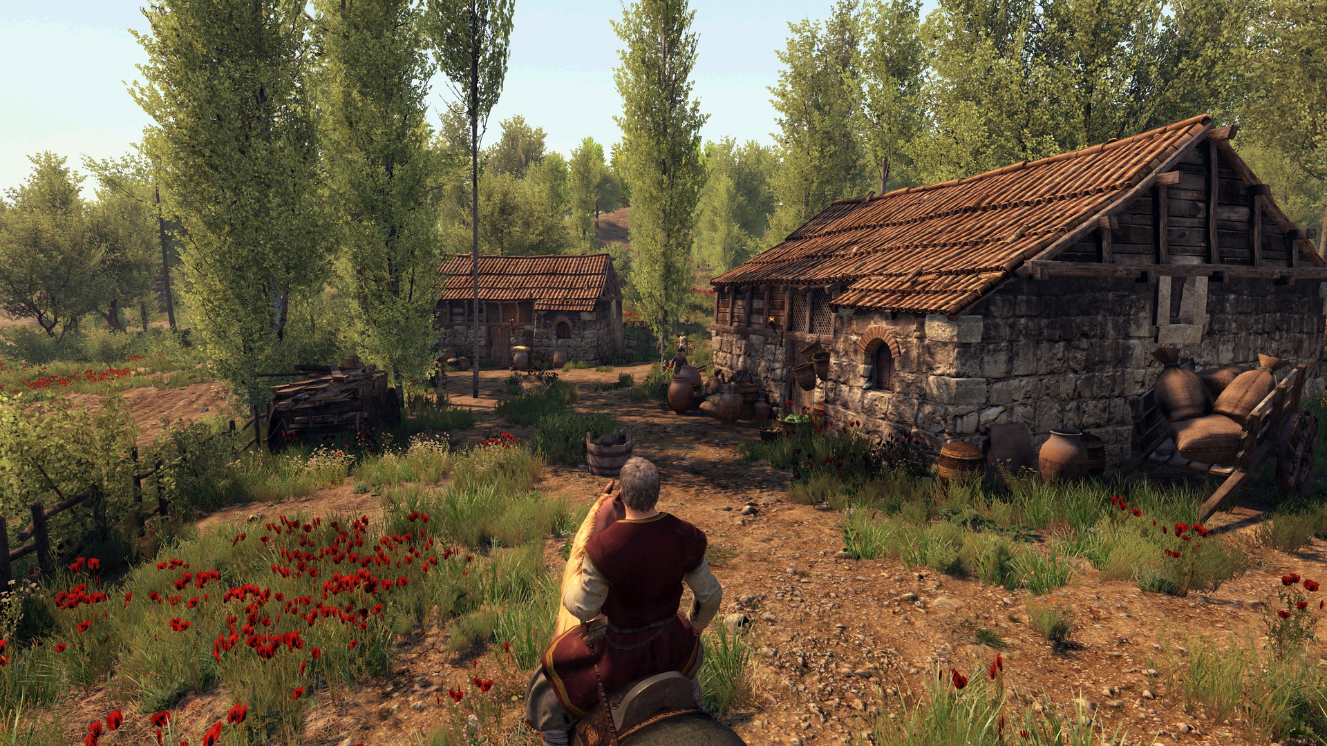 Mount & Blade II: Bannerlord - screenshot 2