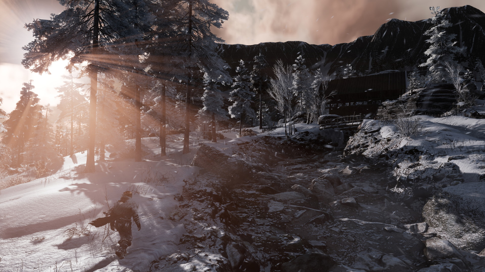 Fade to Silence - screenshot 20