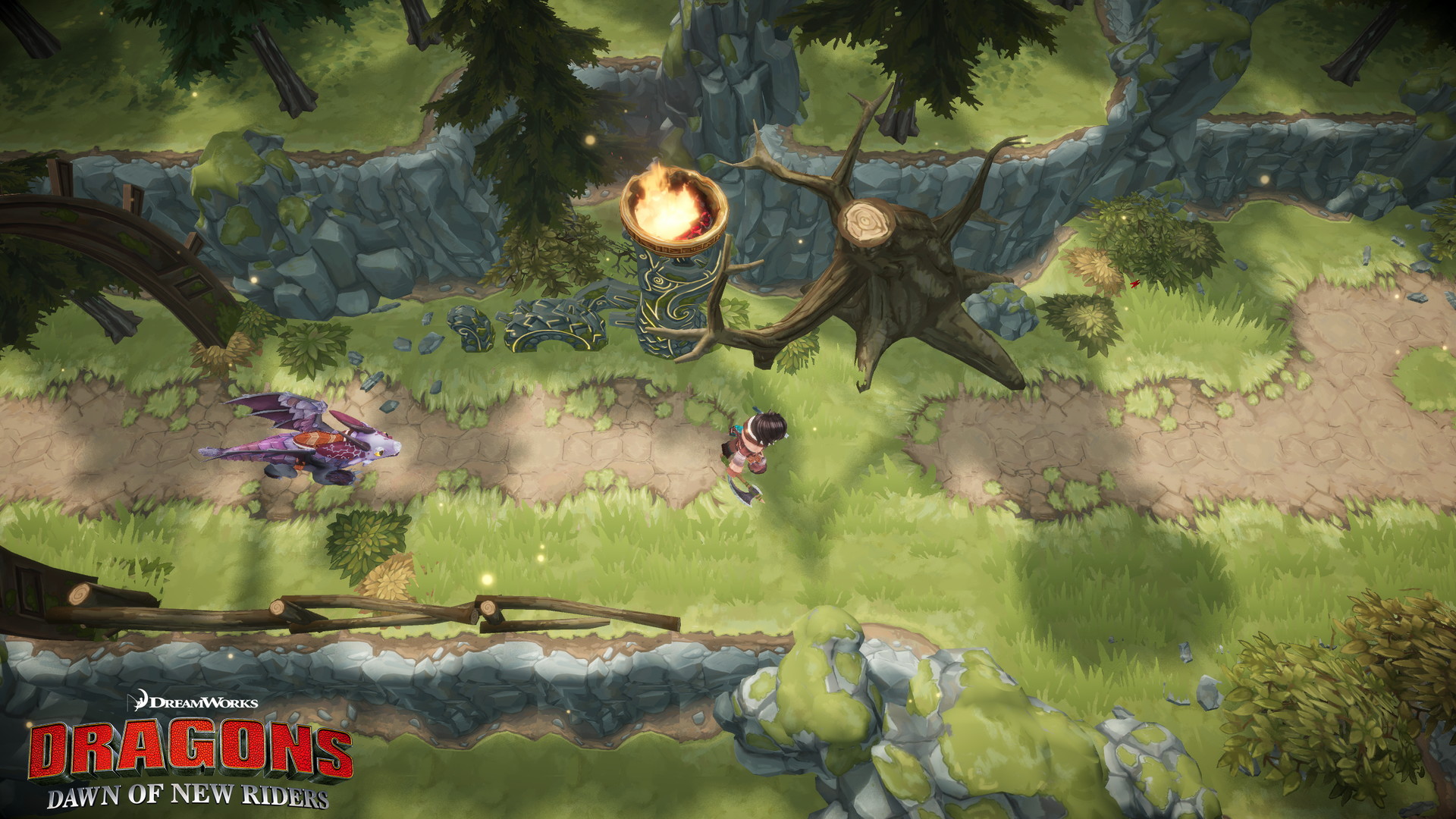 Dragons: Dawn of New Riders - screenshot 9