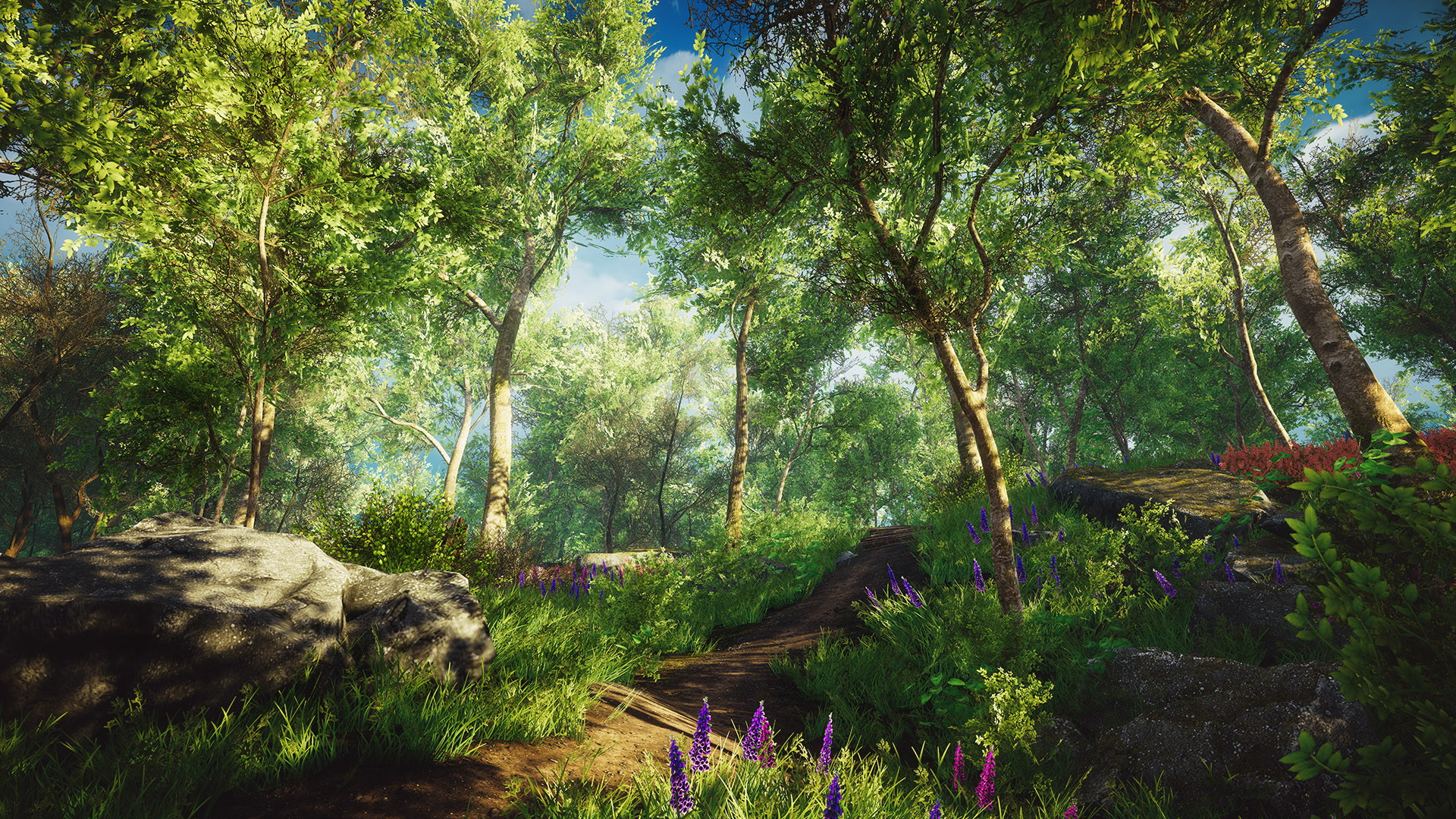 Eastshade - screenshot 24