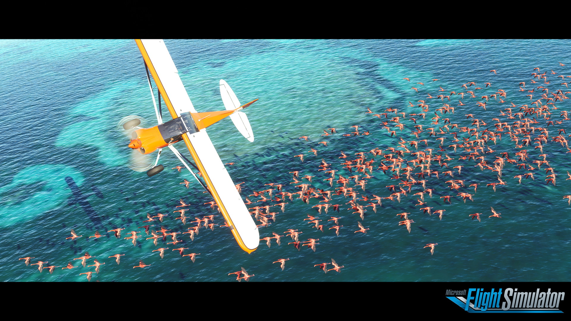 Microsoft Flight Simulator - screenshot 65