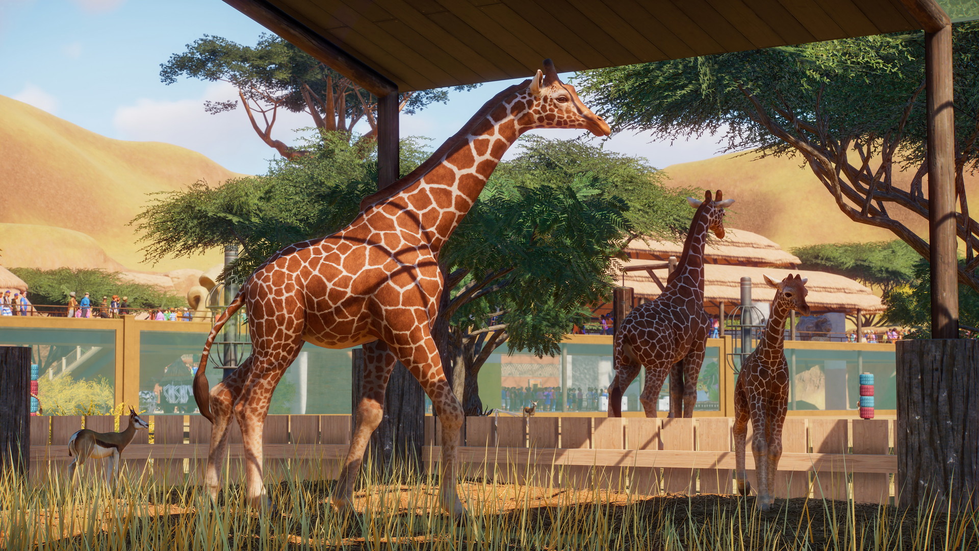 Planet Zoo - screenshot 9