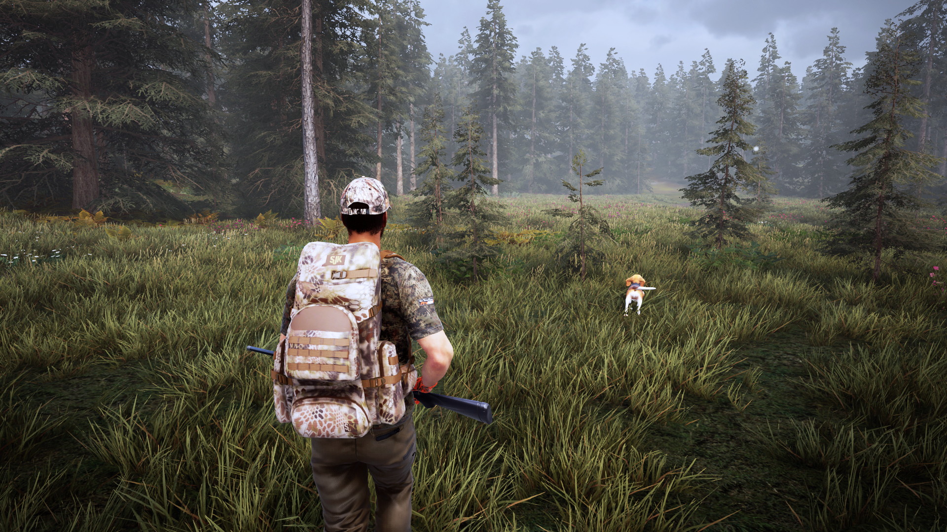 Hunting simulator 2 прохождение