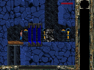 Blackthorne - screenshot 3