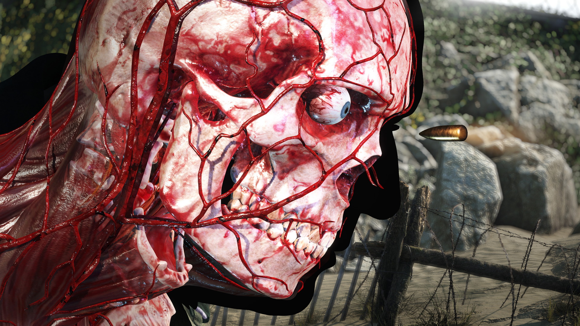 Sniper Elite 5 - screenshot 28