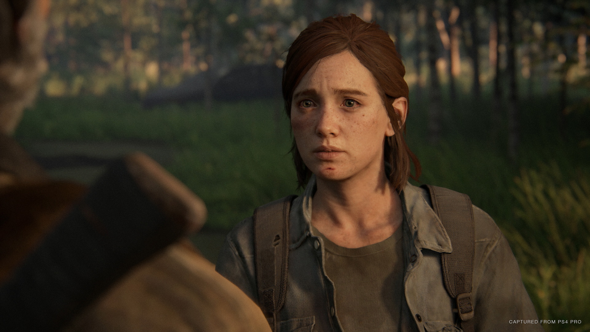 The Last of Us Part II - screenshot 57
