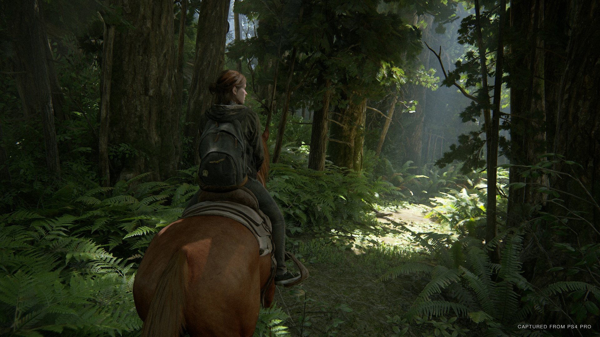The Last of Us Part II - screenshot 46