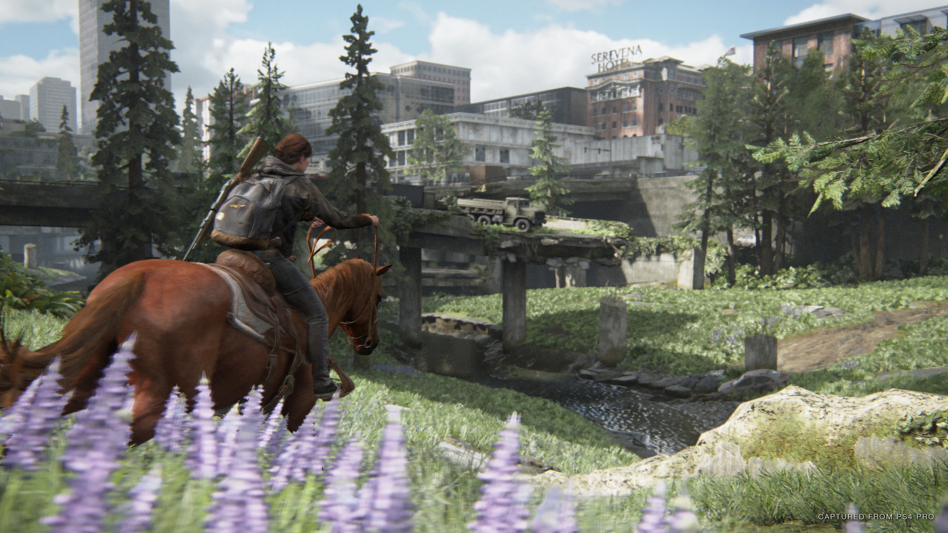 The Last of Us Part II - screenshot 35