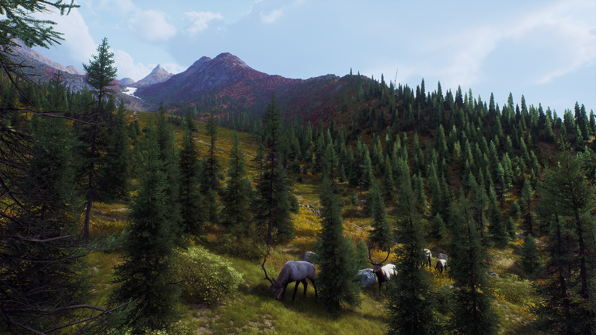 Way of the Hunter: Aurora Shores - screenshot 10