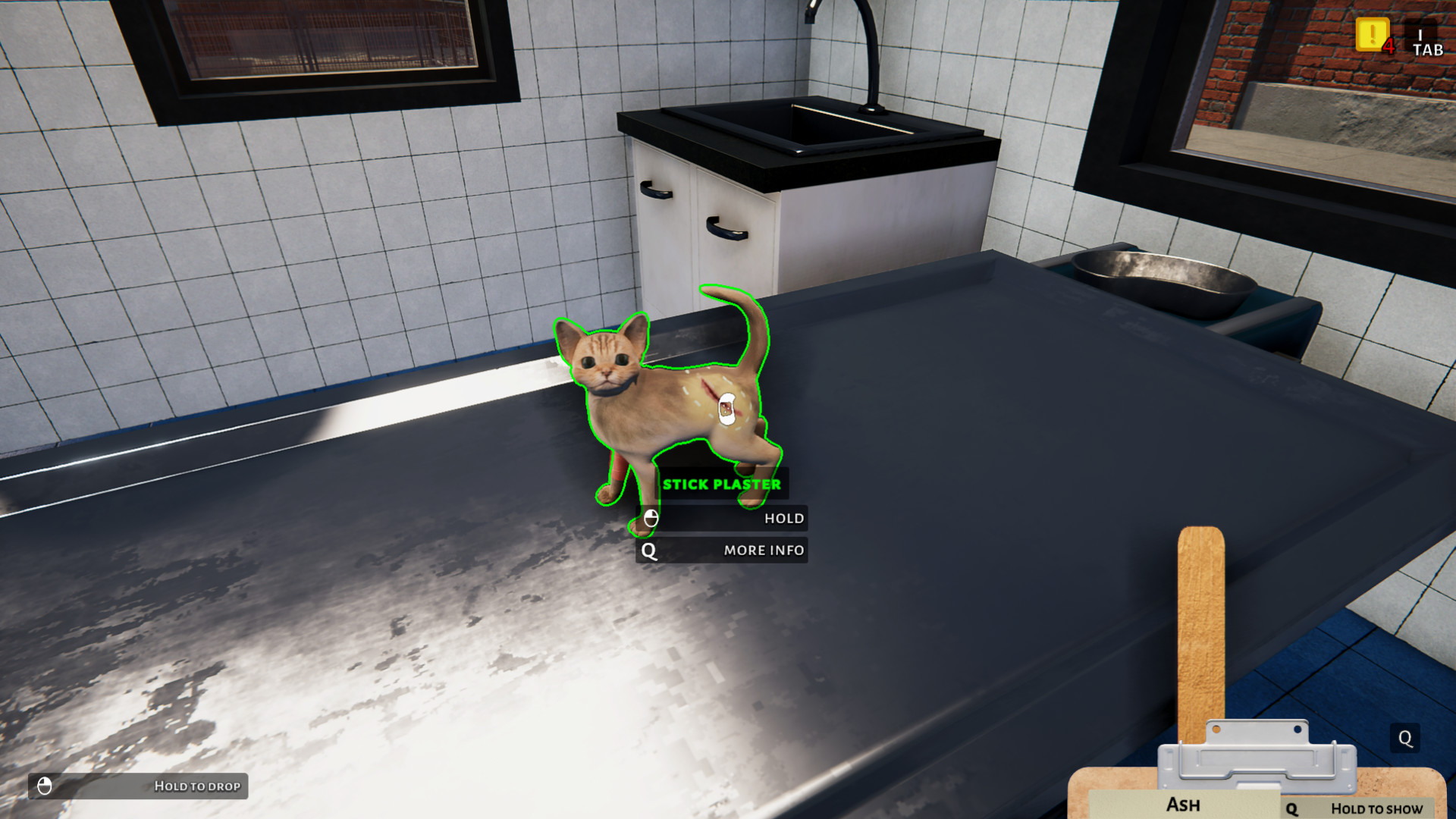 Animal Shelter - Puppies & Kittens - screenshot 4