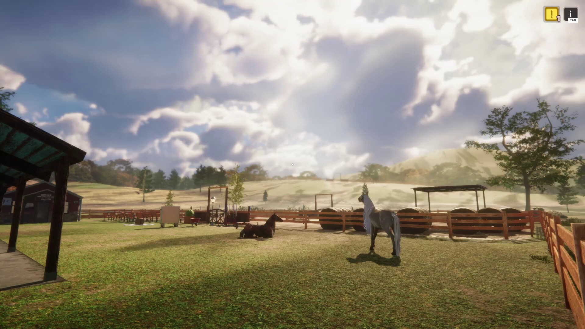 Animal Shelter - Horse Shelter - screenshot 2