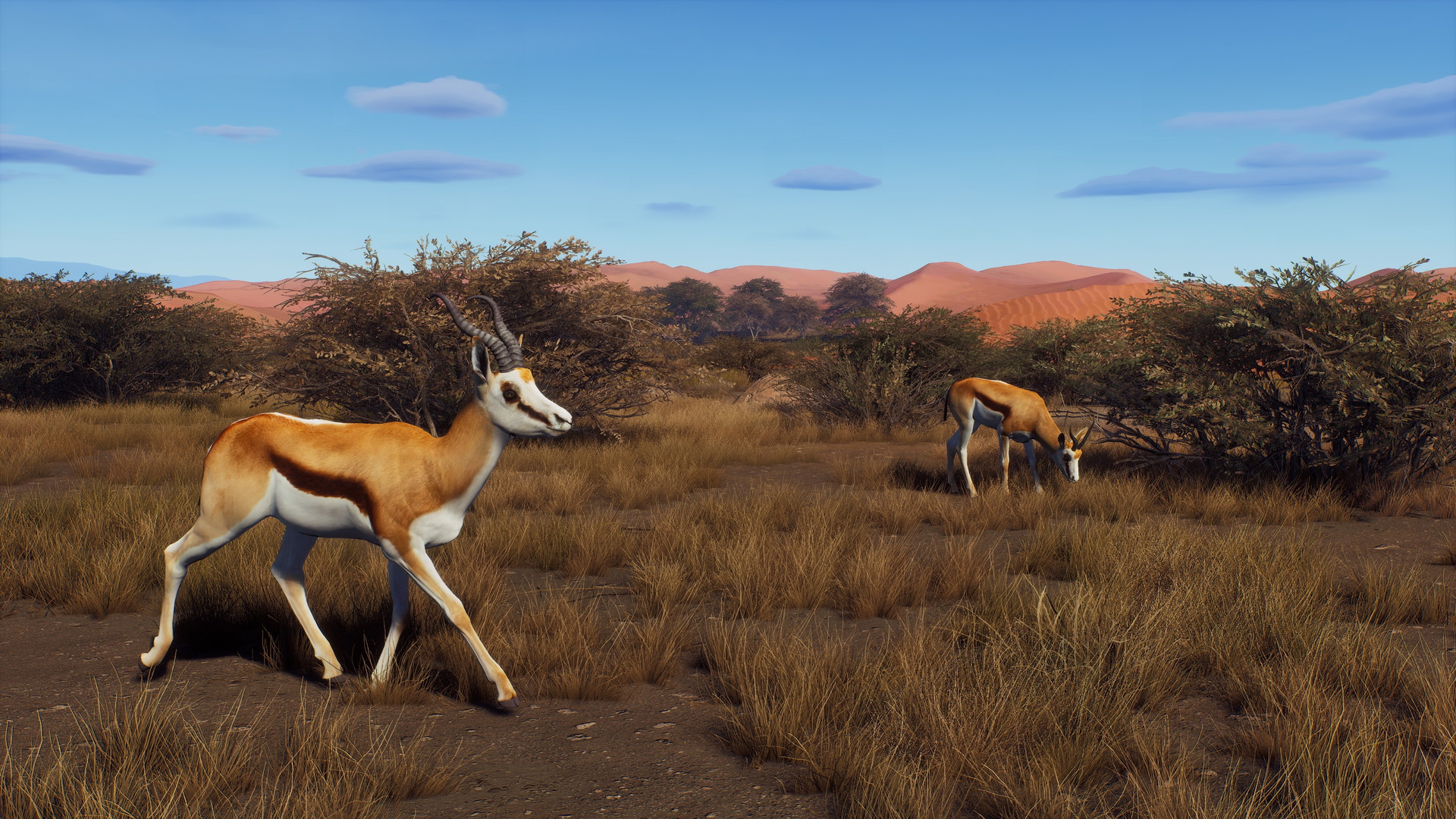 Way of the Hunter: Tikamoon Plains - screenshot 14