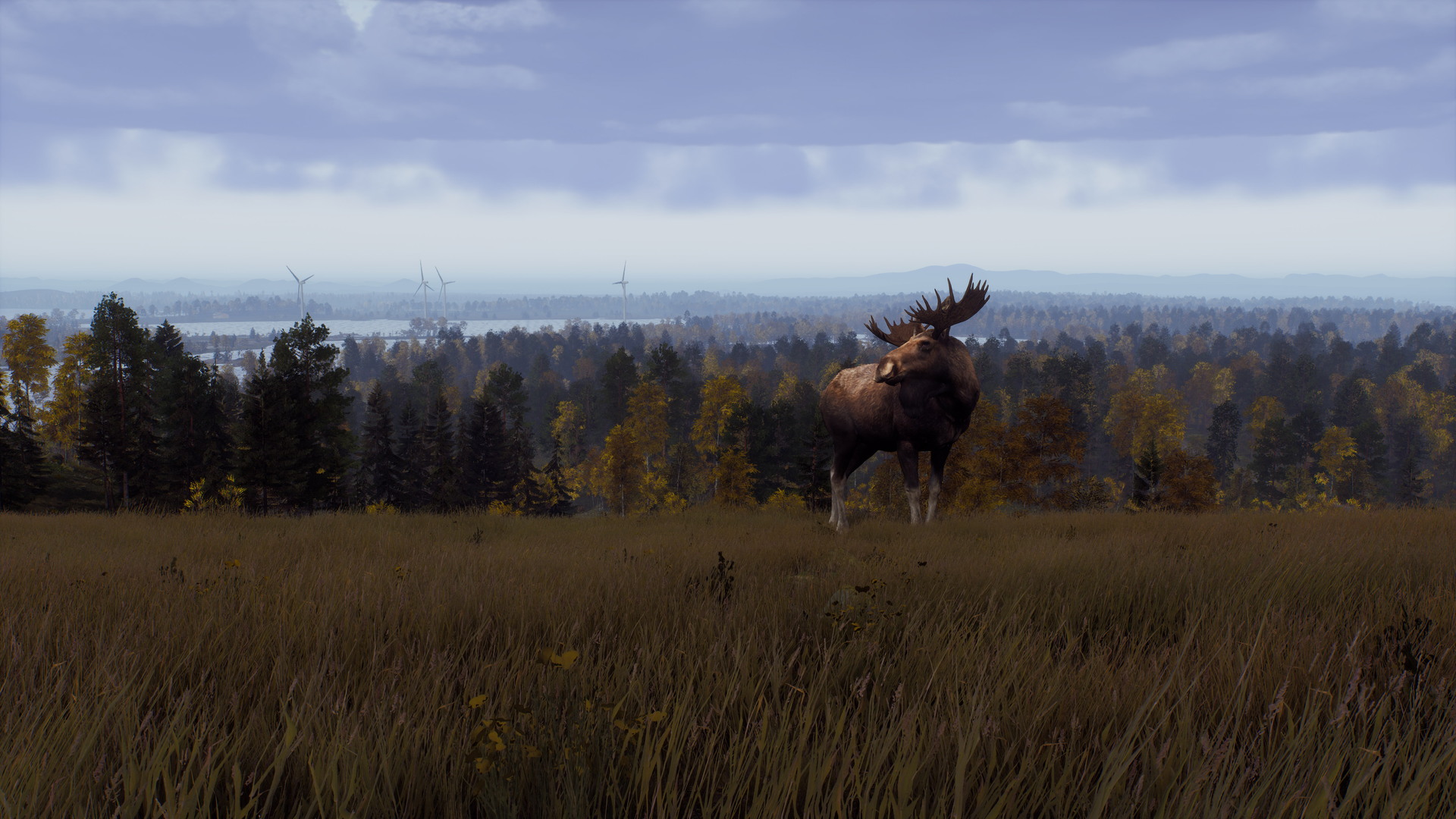 Way of the Hunter: Lintukoto Reserve - screenshot 5